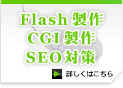 FLASH CGI SEO